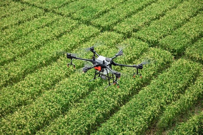 uav Dorsch